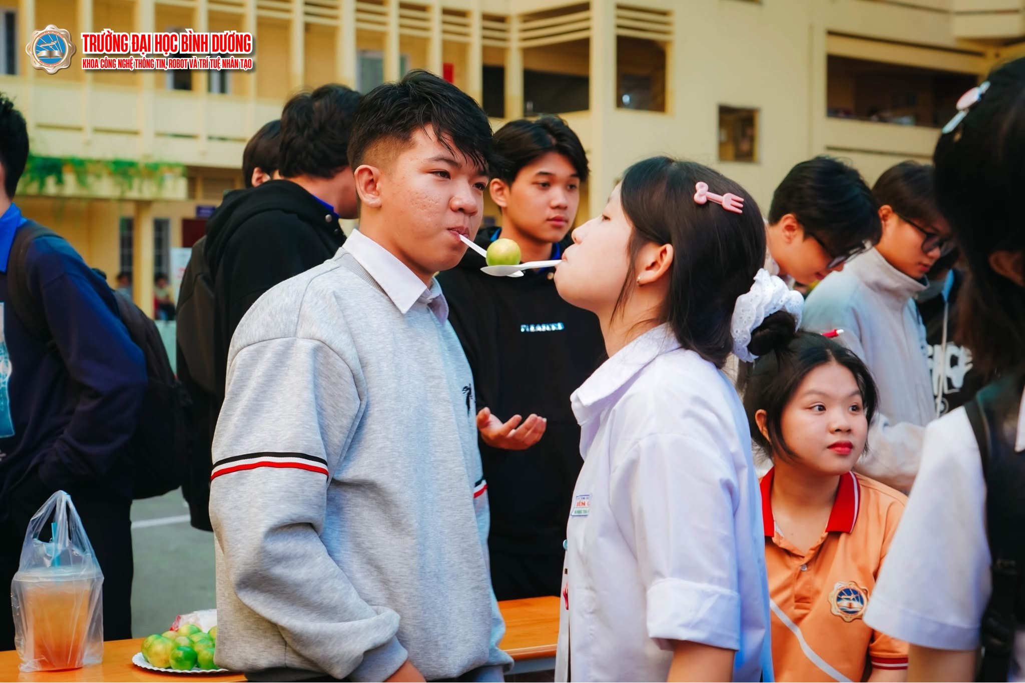 479937799 1148150597310060 3190059501932293194 n